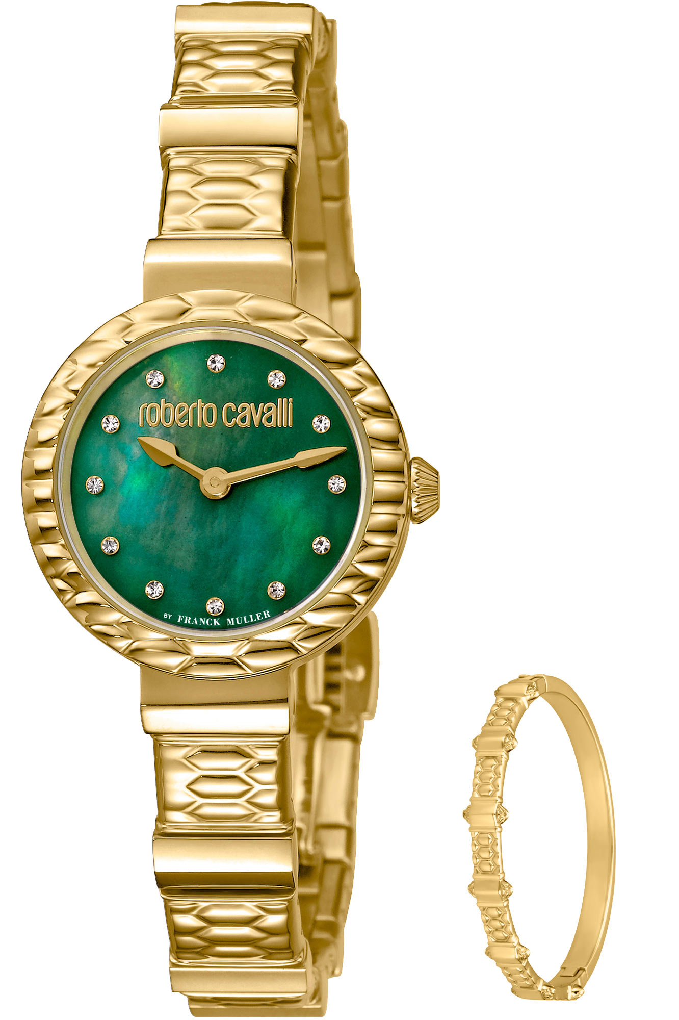 Watch Roberto Cavalli by Franck Muller rv2l023m0081