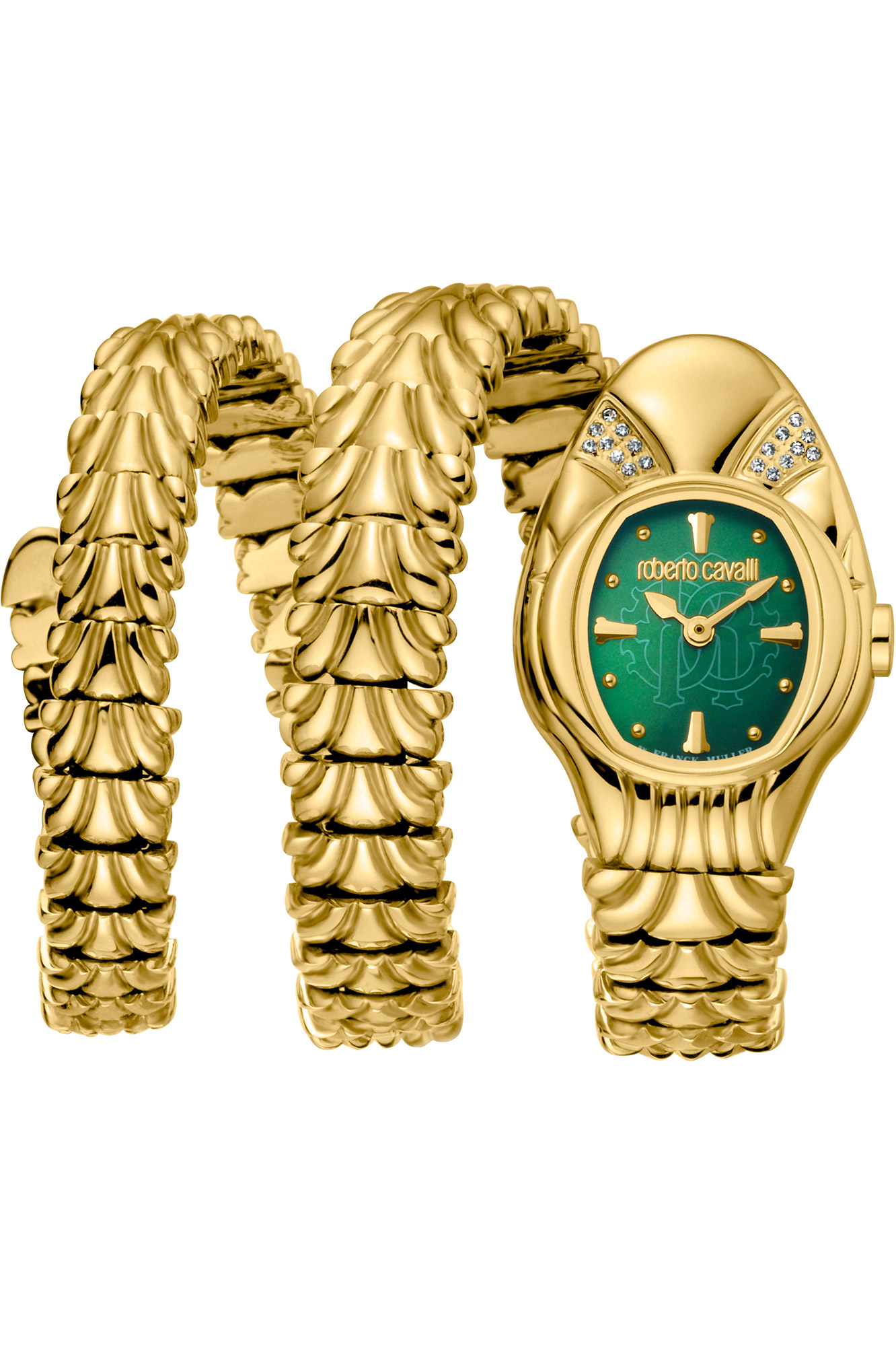 Watch Roberto Cavalli by Franck Muller rv2l042m0021