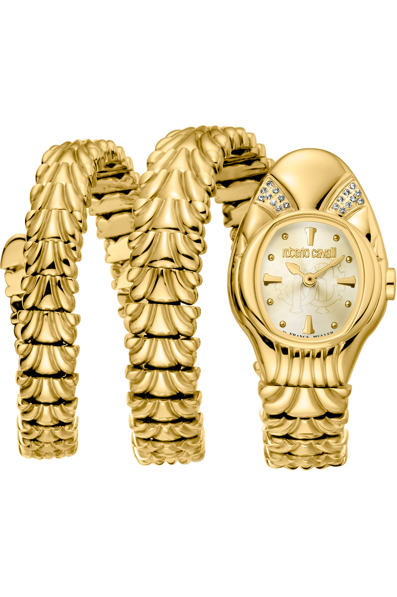 Watch Roberto Cavalli by Franck Muller rv2l042m0031