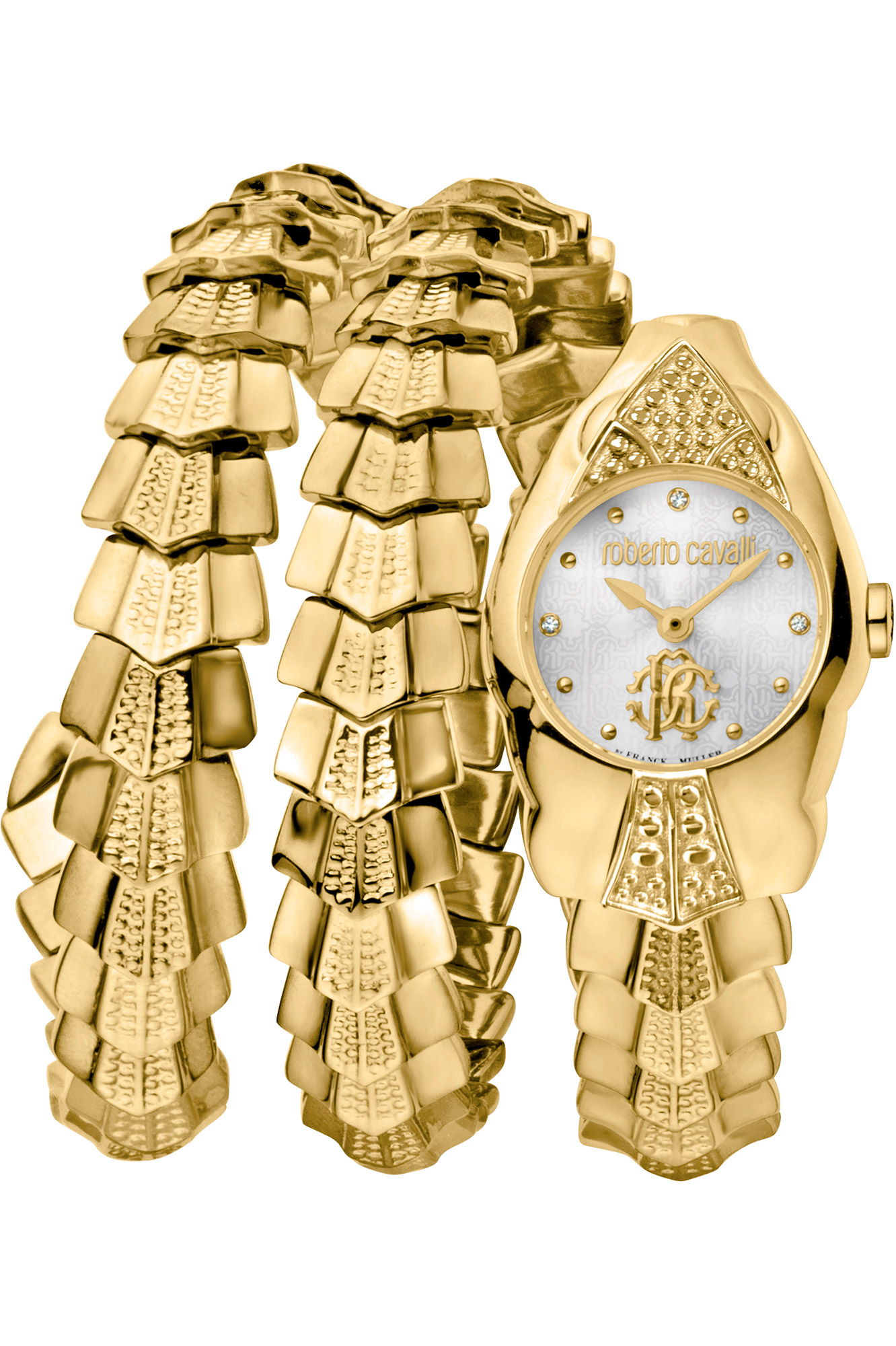 Watch Roberto Cavalli by Franck Muller rv2l048m0021