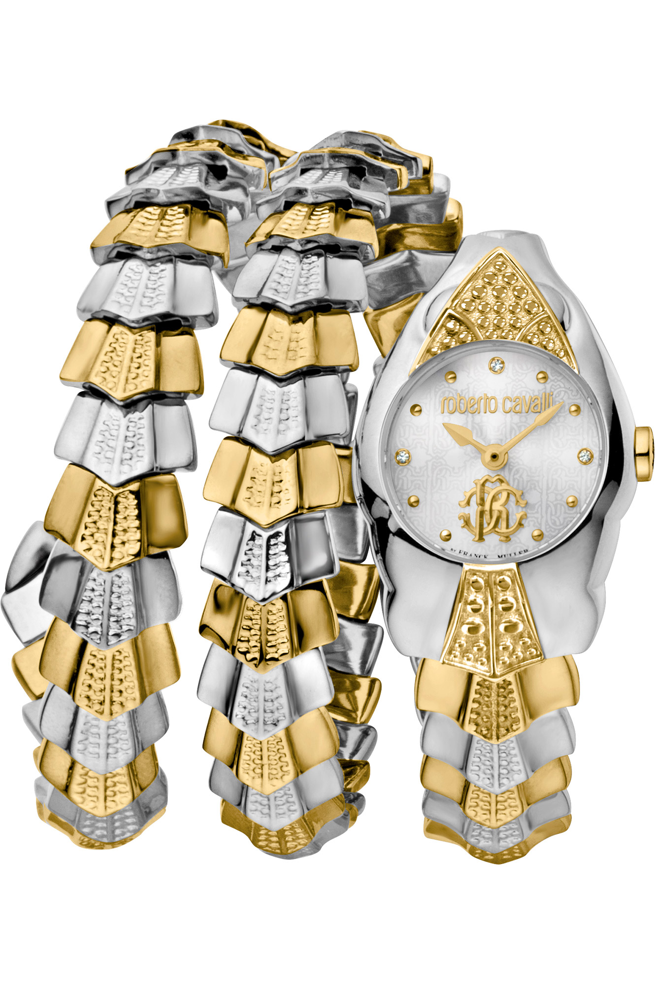 Watch Roberto Cavalli by Franck Muller rv2l048m0031