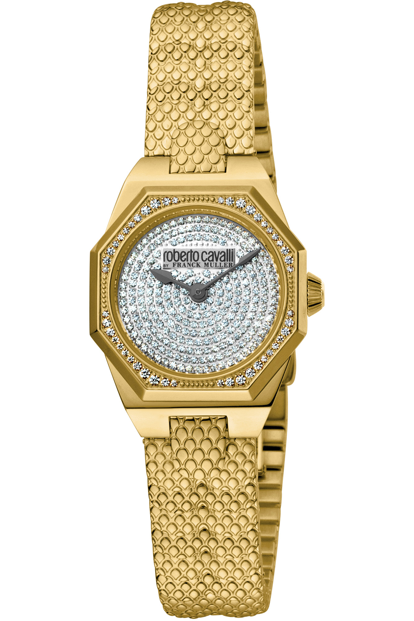 Watch Roberto Cavalli by Franck Muller rv2l060m0021