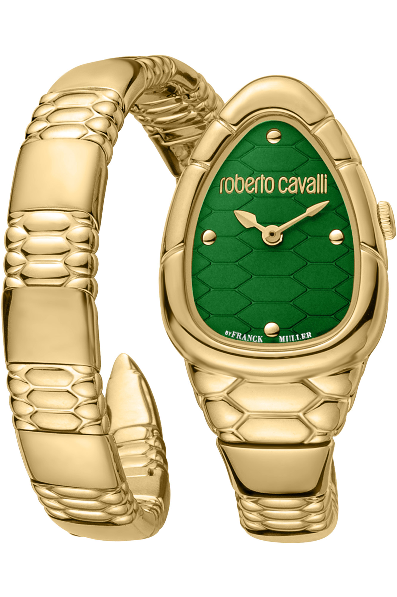 Watch Roberto Cavalli by Franck Muller rv1l184m0041