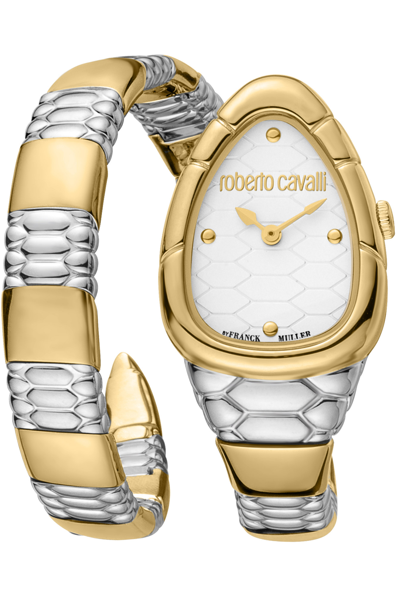 Reloj Roberto Cavalli by Franck Muller rv1l184m0061