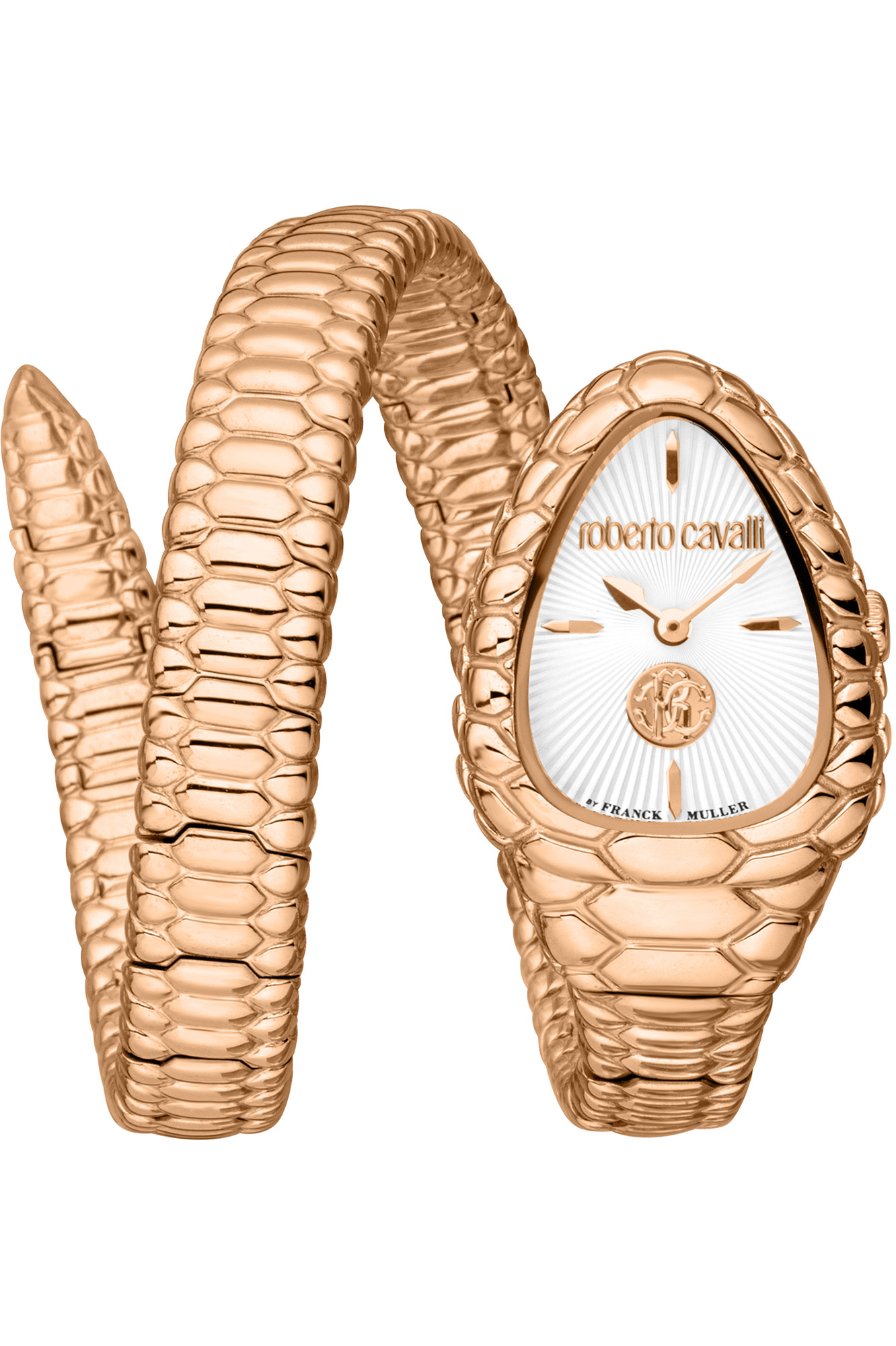Reloj Roberto Cavalli by Franck Muller rv1l187m0051