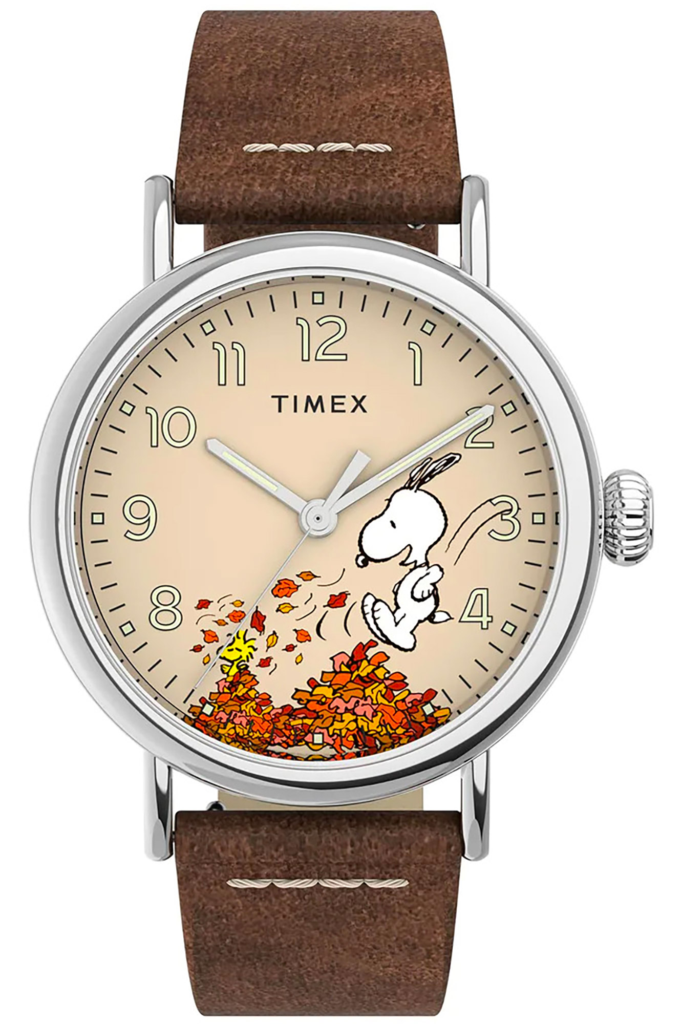 Uhr Timex tw2u86200